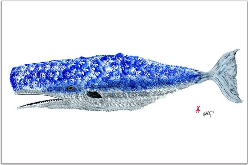 Whale Placemat | Ocean-Inspired