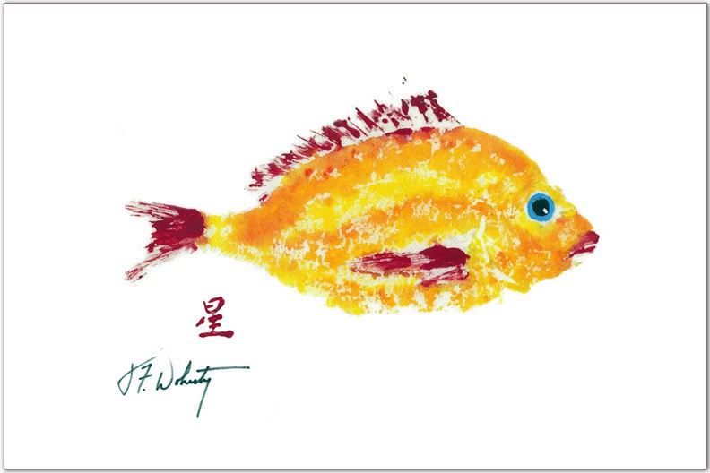 Yellow Red Scup Placemat | Nautical
